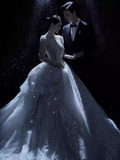 Vintage Ball Gown Scoop Neckline Lace Wedding Dress HZ1024