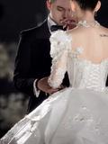Princess Ball Gown Long Sleeves Lace Wedding Dresses HZ1024