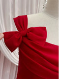 Simple Sheath Spaghetti Straps Chiffon Short Red Homecoming Dresses Birthday Outfit HZ1024