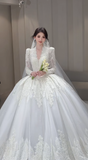 Timeless Ball Gown V Neck Tulle Lace Long Sleeves With Train Long Wedding Dresses HZ1024