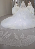 Timeless Ball Gown V Neck Tulle Lace Long Sleeves With Train Long Wedding Dresses HZ1024