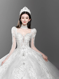 Gorgeous Ball Gown Tulle Lace Long Sleeves Long Wedding Dresses HZ1024
