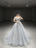 Pretty Ball Gown Off The Shoulder Tulle Lace Applique Long Wedding Dresses HZ1024