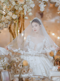 Pretty Ball Gown Tulle Applique Long Sleeves With Veil Long Wedding Dresses HZ1024