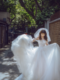 Unique Ball Gown Strapless Tulle Applique With Veil Long Wedding Dresses HZ1024