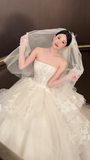 Dreamy Ball Gown Strapless White Tulle Lace With Gloves Veil Long Wedding Dresses HZ1024