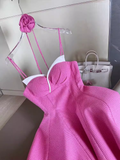Sexy A Line Straps Pink Birthday Dress Short Homecoming Dresses HZ1024