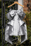 Simple A Line Straps Short Birthday Outfits Gray Homecoming Dress HZ1024