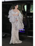 Elegant Mermaid Sweetheart Neckline Silver Sequin Evening Dress Long Prom Dresses HZ1024